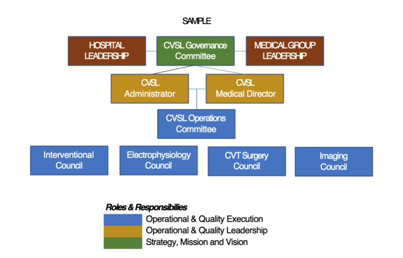 service-line-management-structure-defining-steps-challenging-the